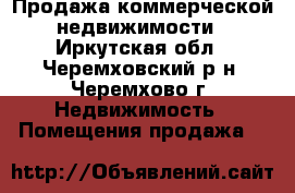 Продажа коммерческой недвижимости - Иркутская обл., Черемховский р-н, Черемхово г. Недвижимость » Помещения продажа   